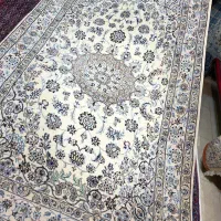 قالیچه تک نایین پرده ای در۲طرح مختلف