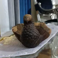 مجسمه کاربردی طاووس|مجسمه، تندیس، ماکت|قرچک, مهدیه|دیوار