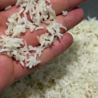 برنج ایرانی با قیمت ویژه شارژ مجدد شد