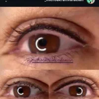 خدمات میکروبلیدینگ ومیکروپیگمنتیشن|خدمات آرایشگری و زیبایی|صدرا-فارس, فاز ۱|دیوار