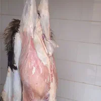 قصاب،سلاخ،حرفه ای درمحل