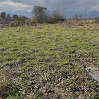 زمین-باغی-16500-متری-مناسب-کشت-کیوی