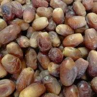 خرما زاهدی امسالی سالم خوش طعم کارتن ۶ کیلویی|حراج|سبزوار, جوادیه غربی|دیوار