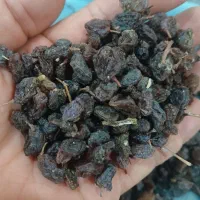 کشمش|خوردنی و آشامیدنی|بکتاش, |دیوار