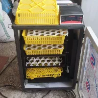 دستگاه جوجه کشی