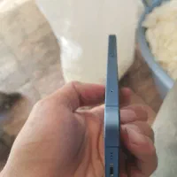 اپل iPhone 13 با حافظهٔ ۱۲۸ گیگابایت|موبایل|تبریز, |دیوار