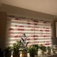 پرده آشپزخونه زبرا|پرده، رانر، رومیزی|ساری, |دیوار