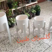 4تا پایه گل 4تا گلدون سفید|گل و گیاه طبیعی|مشهد, طلاب|دیوار
