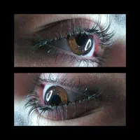 اکستنشن مژه|خدمات آرایشگری و زیبایی|زنجان, |دیوار