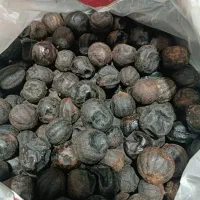 سبزی خورشت اماده و فریز شده|خوردنی و آشامیدنی|دهدشت, |دیوار