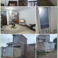 خانه دانه های روغنی کوچه هفت