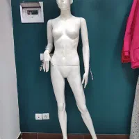 مانکن ، چوب کار و رگال