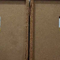 یک دستگاه سیستم صوتی خانگی کیفیت بی نظیر|سیستم صوتی خانگی|آمل, |دیوار