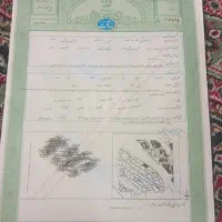 سند ملکی برای وثیقه