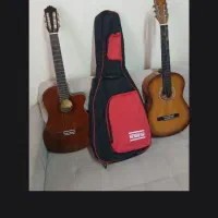 گیتار تین بادی پیکاپ دار