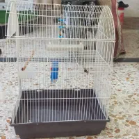 قفس درهویزه|لوازم جانبی حیوانات|سوسنگرد, |دیوار