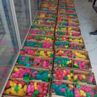 جوجه رنگی  فقط کارتونی تکی ندارم