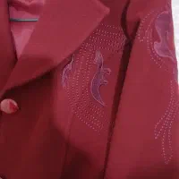 پالتو ، کاپشن ، بارانی|لباس|تبریز, |دیوار