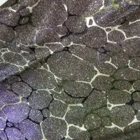 پارچه مجلسی و چادری|لباس|دزفول, |دیوار