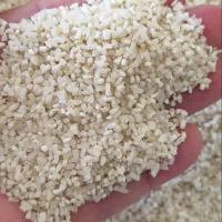 برنج طارم هاشمی درجه یک عطر دار 195|عمدهفروشی|بومهن, |دیوار