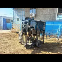 دستگاه اتومات سم چینی گاو