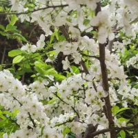 فروش ۱۶۵ متر مستغلات در ۲ طبقه فایل شخصی