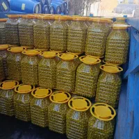 زیتون کنسروی|خوردنی و آشامیدنی|تهران, منیریه|دیوار