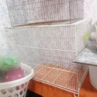 برای انواع پرنده