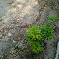 چه کنیم حال خوبی داشته باشیم