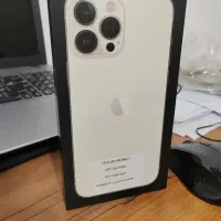13 pro max