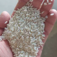 فروش برنج عنبر بو|خوردنی و آشامیدنی|اهواز, نادری|دیوار