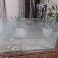 آکواریوم شیشه خالی سالم