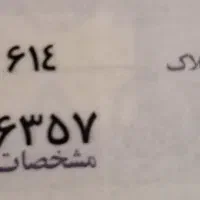 پلاک گمشده
