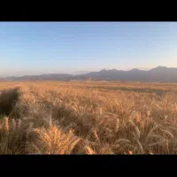 اجاره-زمین-کشاورزی