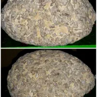 ۲ عدد شهاب سنگ قمری و شرگوتیت|کلکسیون اشیاء عتیقه|بندر دیر, |دیوار