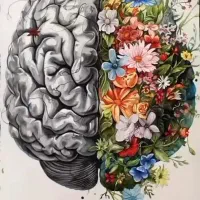 کتاب های کنکور انسانی