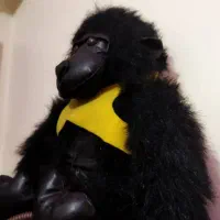 عروسک خارجی گوریل چرمی|اسباب‌‌بازی|تهران, کرمان|دیوار