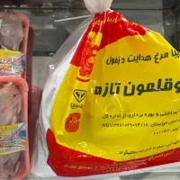 بوقلمون و مرغ کشتار روز