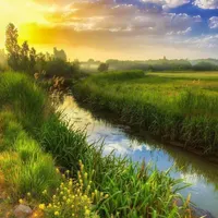 گم شده ۲تا کارتن کوچیک