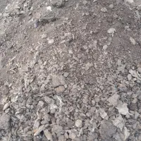 کودمرغ گوشتی تقریبایک تن خورده ای