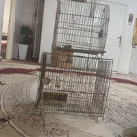 قفس پرنده