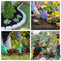 خدمات باغبانی باغچه کاری تعویض خاک گلدان کاشت.گل|خدمات باغبانی و درختکاری|تهران, پاسداران|دیوار