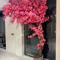درخت شکوفه