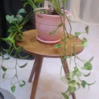 کلیه وسایل بفروش میرسد|فرش|زابل, |دیوار