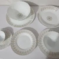 ۴دست کامل آکروپال درجه یک داخل ظرف شور هم میشه