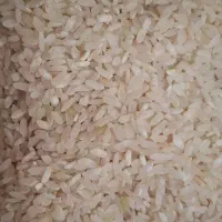 برنج کامفیروزی