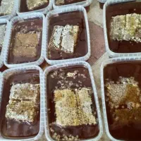 عسل کنار و موم دار ع م د ه ارسال از شیراز