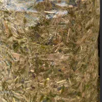 علوفه ذرت بسته بندی شده