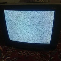 تلوزیون ۲۴