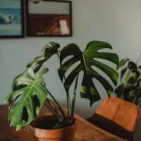 مشاوره خانواده